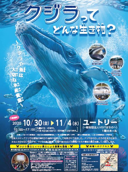 展示会 クジラってどんな生き物 クジラや魚は大切な水産資源 を八戸 釧 路 東京で開催 耳ヨリくじら情報 くじらタウン